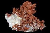 Natural, Red Quartz Crystal Cluster - Morocco #161094-3